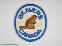 Beavers [CA 13c]